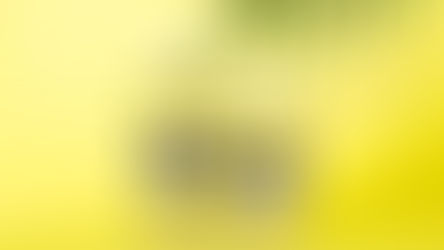 Amerikas x Cantabria Labs