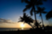 B3FA32E1-7D77-41A6-946C-890940464E82_1_2