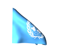 Un flag.gif