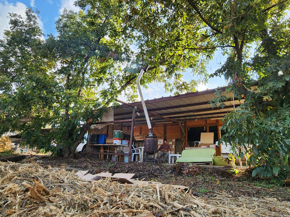 WhatsApp Image 2024-06-24 at 11.25.36.jpeg