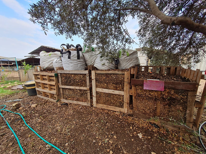 WhatsApp Image 2024-06-24 at 11.25.39.jpeg