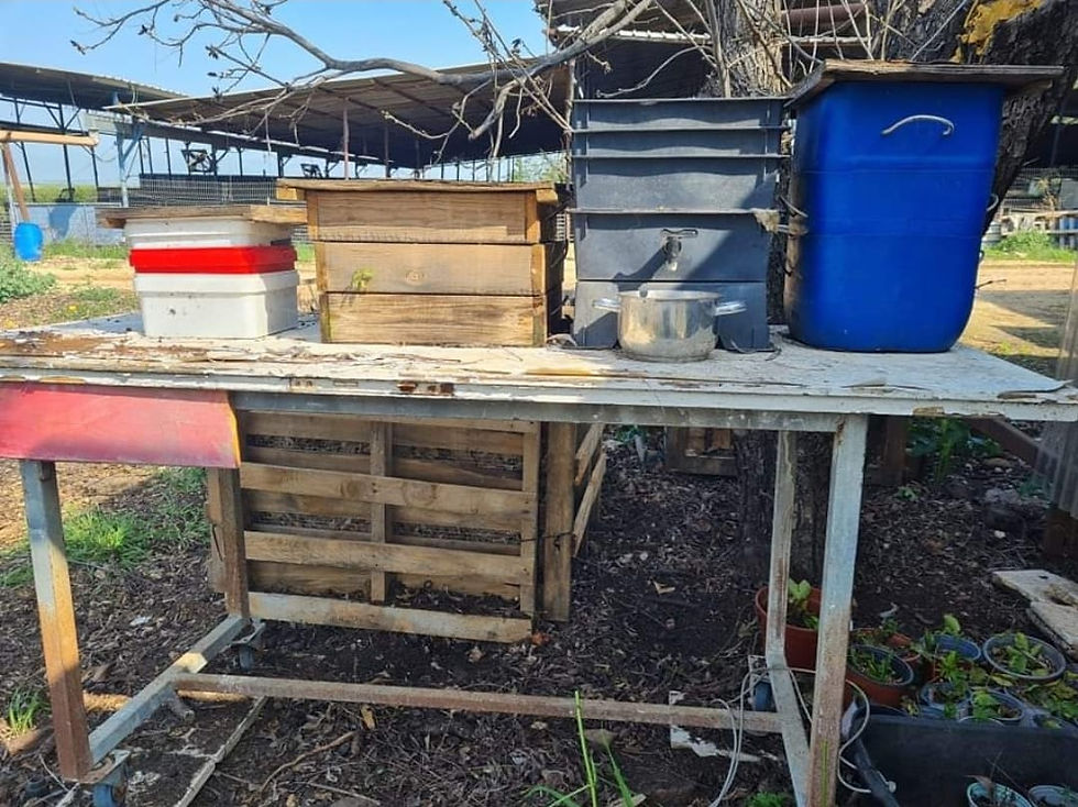 בית תולעים שלנו