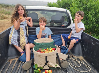 WhatsApp Image 2024-06-24 at 15.02.48.jpeg