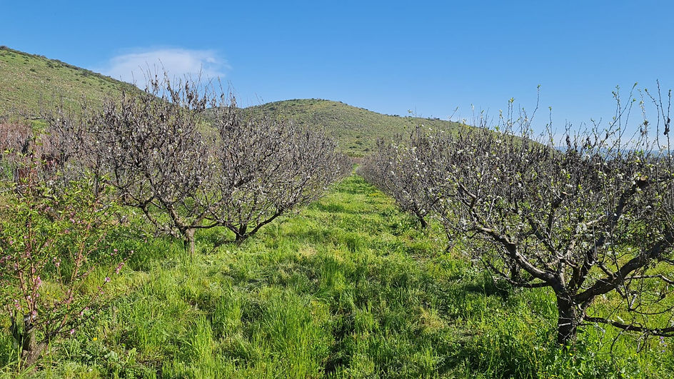 WhatsApp Image 2024-06-24 at 12.35.38.jpeg