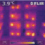 An infrared camera shows the heat generated by honeybees in winter - much hotter than the outside temperature