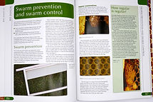 Haynes Bee Manual - example pages.jpeg