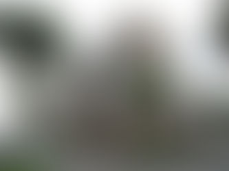 「眺望も陽当たりも両立。5階角部屋リノベが登場」