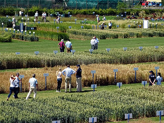 Cambridge open day.jpg
