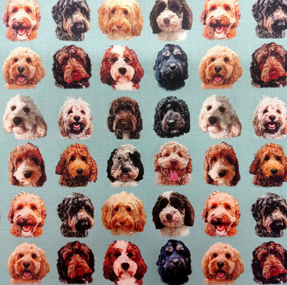 Thumbnail: Cockapoo Scrub Cap