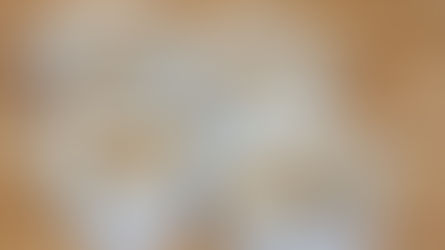 Millefeuille au navet et fromage