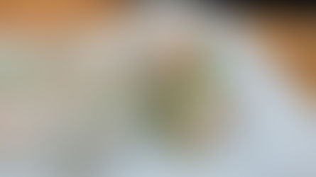 Rouleaux de printemps