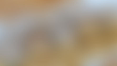 Crépinettes de veau