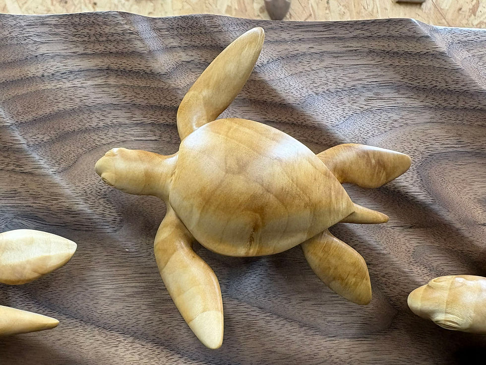 Thumbnail: "Sunkissed Sea Turtles"