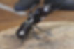 カブトムシバトル2026 アルバイト募集