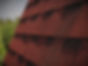 Roof Shingles _edited_edited.jpg