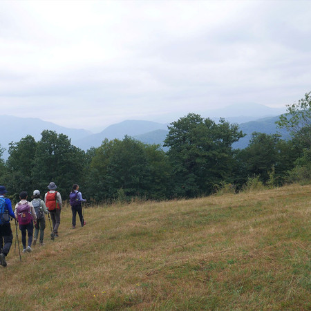 lake parz, dilijan national park, hiking trails from lake parz, lake parz-goshavank trail