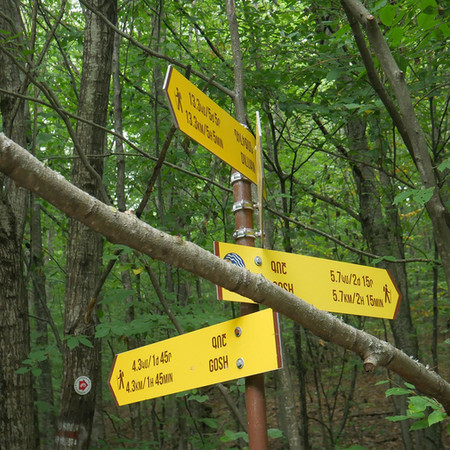 lake parz, dilijan national park, hiking trails from lake parz, lake parz-goshavank trail