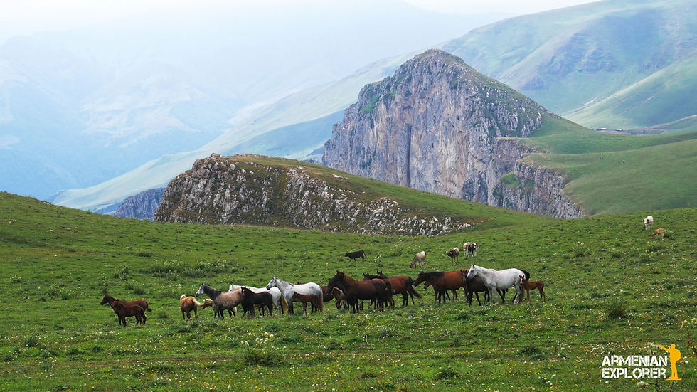 mount Dimats
