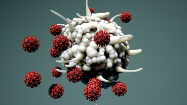 Tracking Immunotherapy: Liquid Biopsy Insight