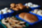 2016-09-23 MT Mix 2.jpg