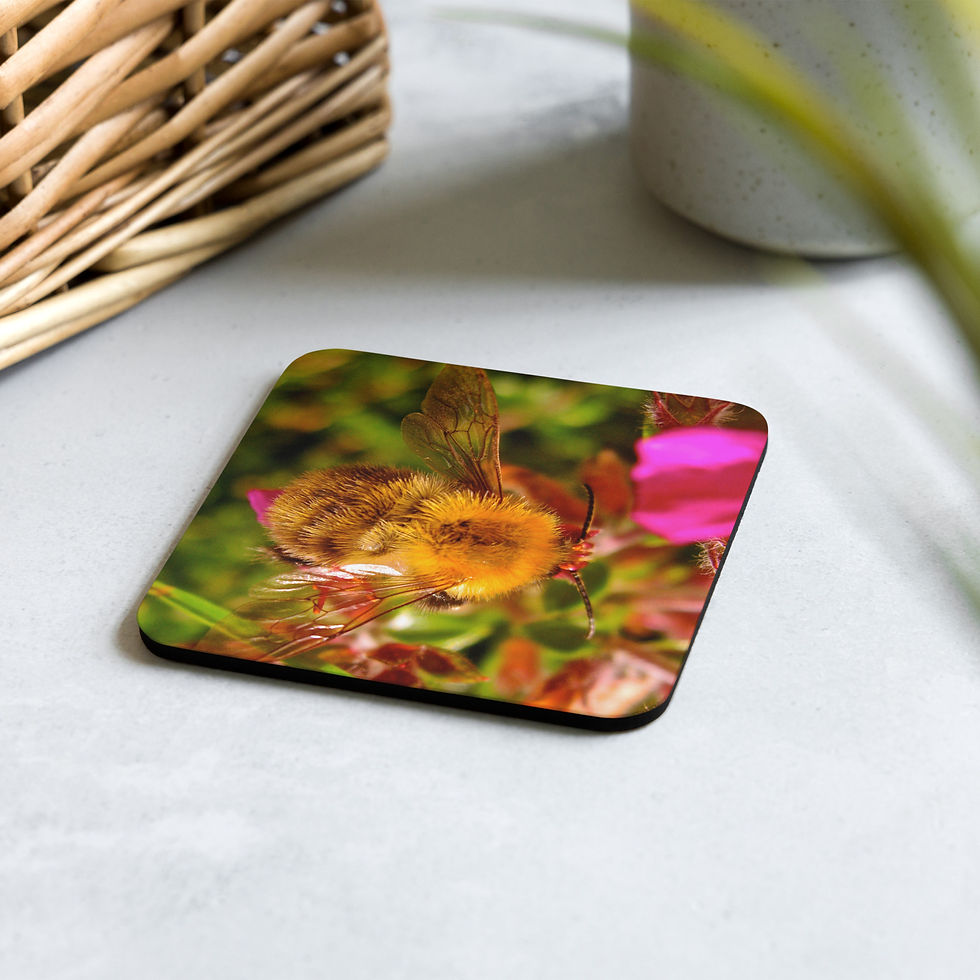 'Fury Bumble' - Coaster