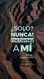 carcasas png-35.png
