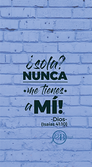 carcasas png-23.png