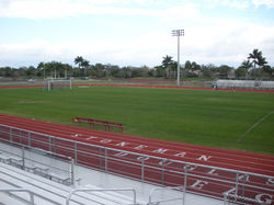 stoneman