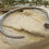 Thumbnail: Solid Silver Nail Men's Bangle