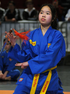 Tn tourne sabre.jpg