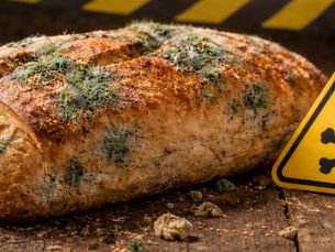 Your Daily Bread Is a Factory Product