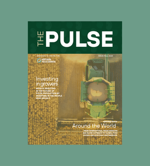Magazine Design