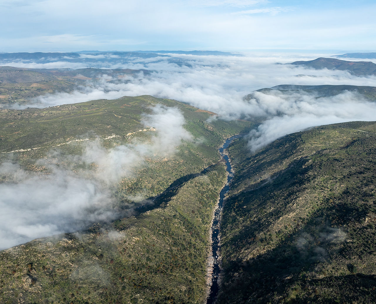 Faia Brava – Associação de Conservação da Natureza