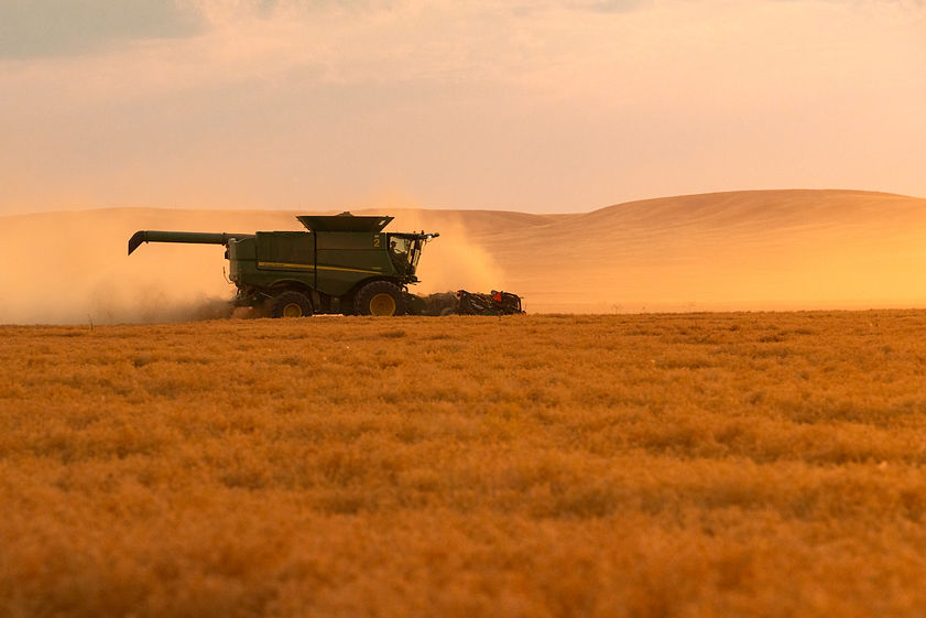 Lentil_Harvest_Photos_028.jpg