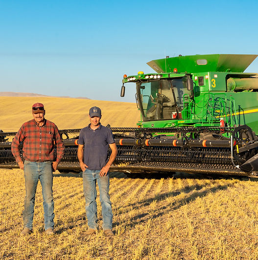 Chickpea_Harvest_058.jpg