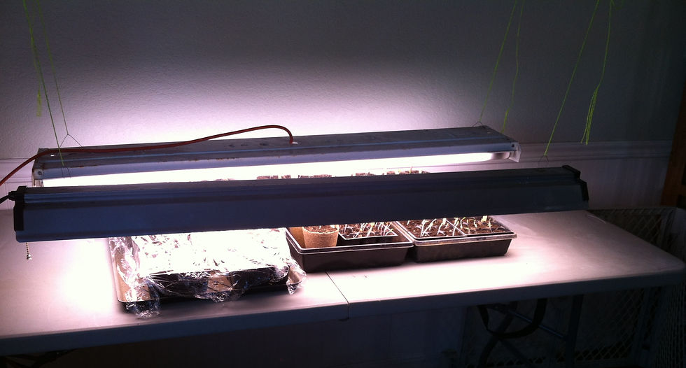 Light/ Heat source
