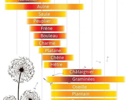 CALMER LES ALLERGIES SAISONNIèRES GRACE A LA RéFLEXOLOGIE PLANTAIRE