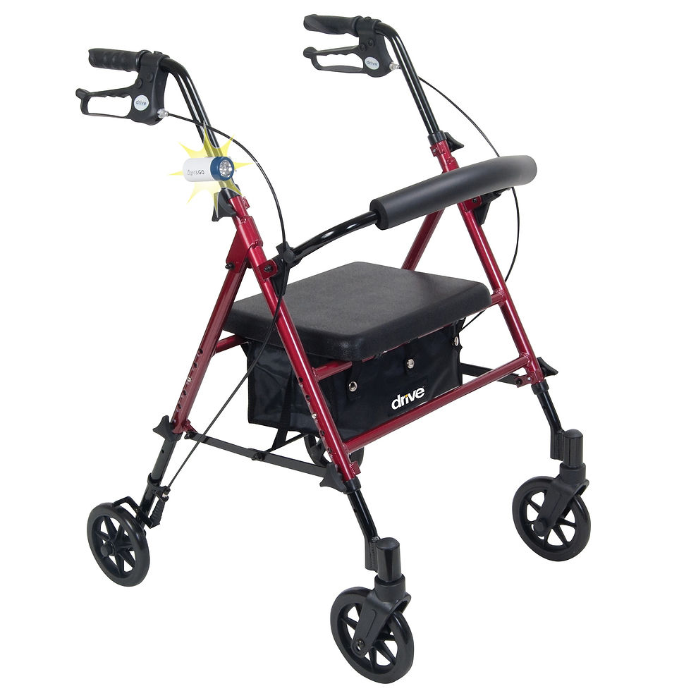 Thumbnail: LIGHT AND GO MOBILITY LIGHT