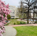IMG_9920.jpeg