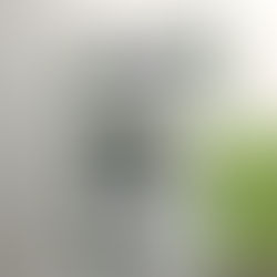 Arquitetura e Feminismo