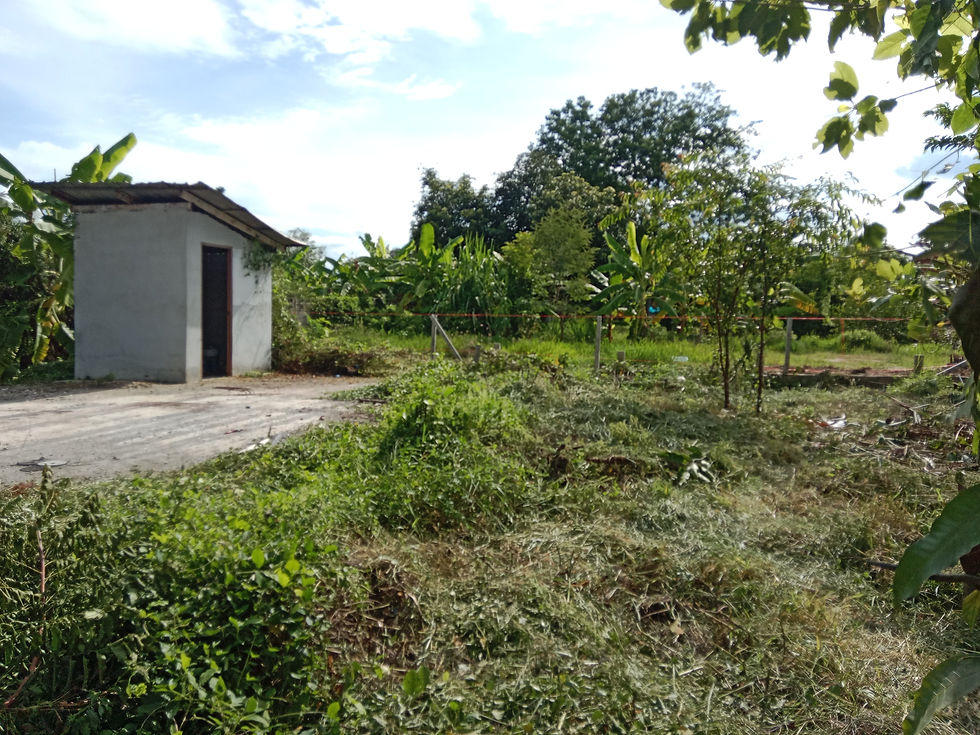 Thumbnail: PL0246 ที่คุยม่วง