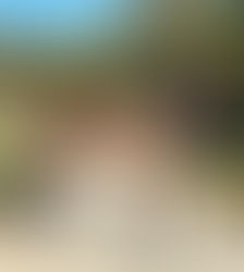 Vino from Ernie’s SOLD