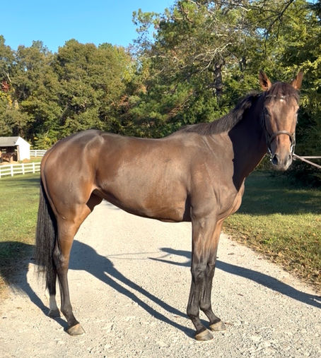 Vino from Ernie’s SOLD