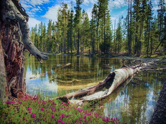 The first view of Eleanor Lake - Michele James Photography, a California Photographer