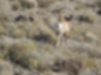 I will own the loss on this photo! I had covered the camera and couldn't get to it in time for Mike to photograph it.