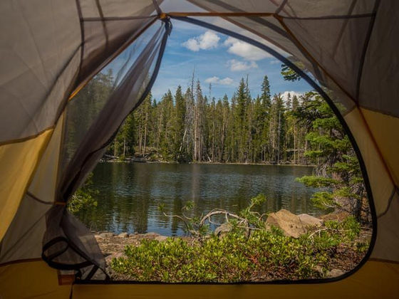 A Room With A View