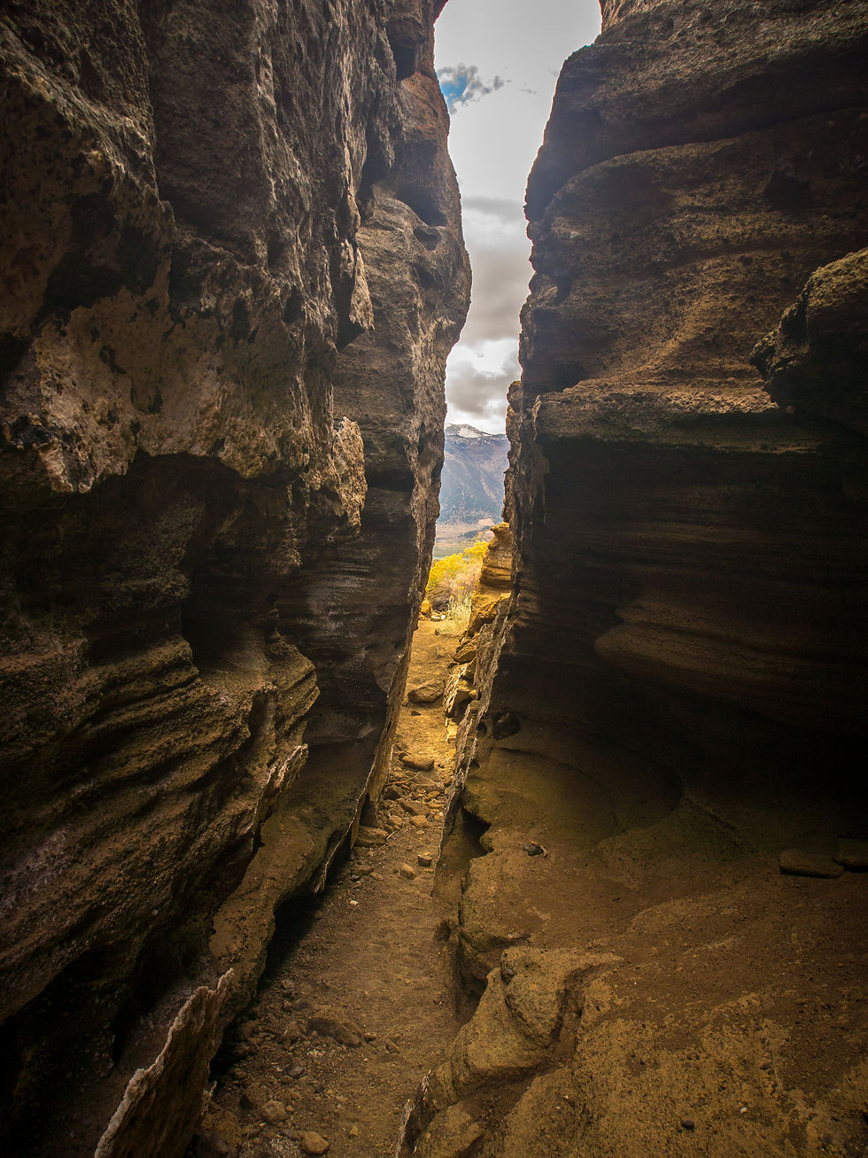 Nearing the end - by Michele James Photography, a California Photographer
