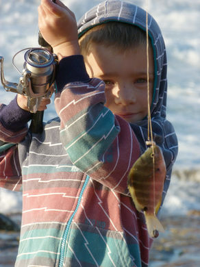 Fish 2.jpeg