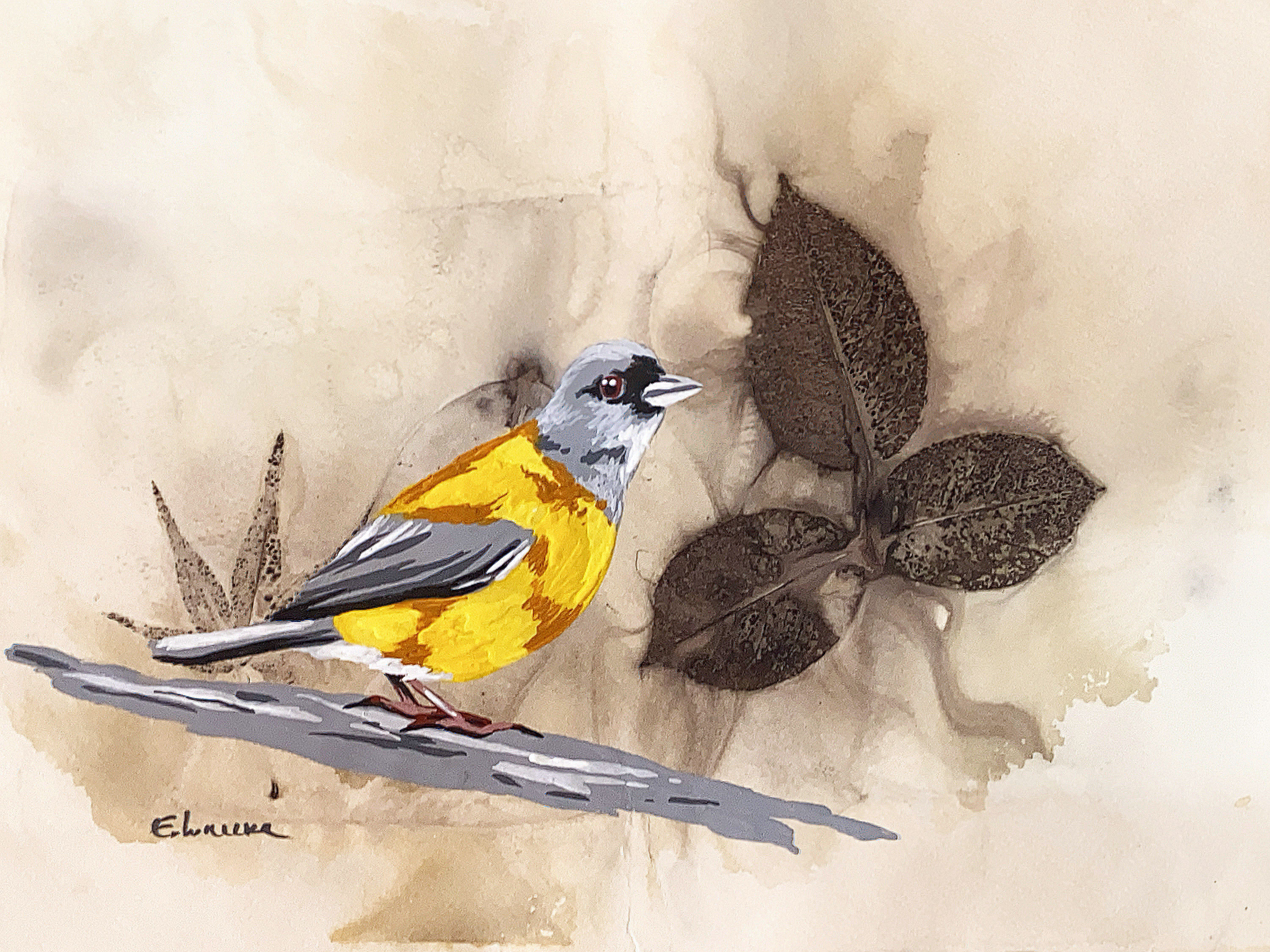 Cometocino XIII (21 x 29 cms)