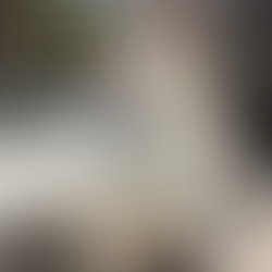 LOOK – IT’S A BIRD, IT’S A PLANE, IT’S A WHITE LIMOZEEN…